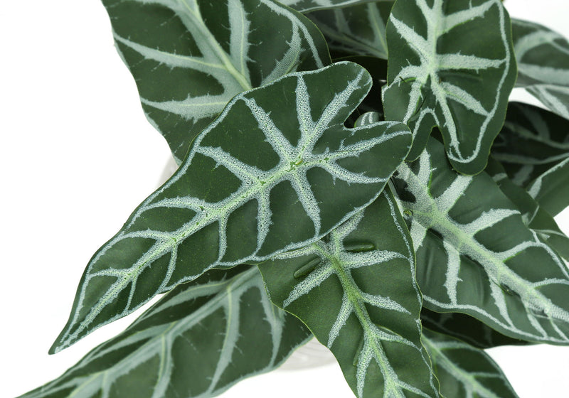 Artificial Alocasia plant set by 8th Street, realistic green tropical leaves in two decorative pots.