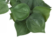 Set of 2 artificial Alocasia plants from 8th Street with large green leaves in decorative planters.
