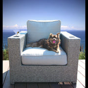 Elegant Patio Chair With Cushions - Gray - R&R Furniture Gallery (Fountain Valley, CA)