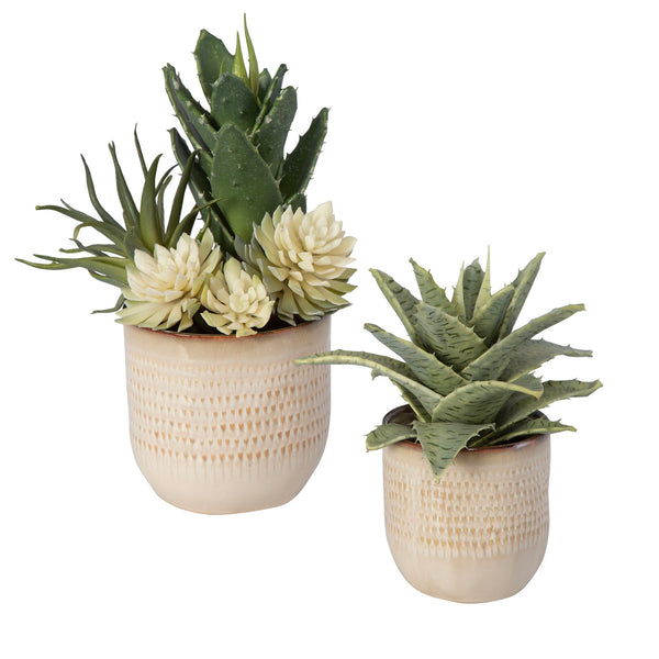 Seaside Succulents (Set of 2) - Silver