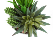 Set of two artificial succulent plants from 8th Street, realistic green faux plants for home or office decor.