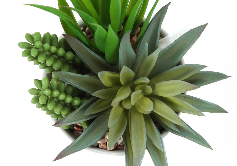 Set of two artificial succulent plants from 8th Street, realistic green faux plants for home or office decor.