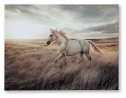 Errolville - Wall Art - Multi - R&R Furniture Gallery (Fountain Valley, CA)