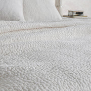 Danica - Quilt Set - R&R Furniture Gallery (Fountain Valley, CA)