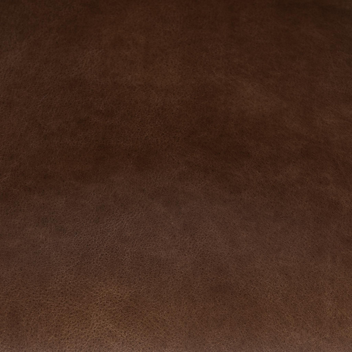 Archie - Dining Chair - R&R Furniture Gallery (Fountain Valley, CA)