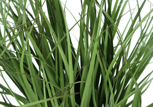 23" Tall, Artificial Plant, Grass, Indoor, Faux, Fake, Table, Greenery, Potted, Real Touch, Decorative - Green / Black - R&R Furniture Gallery (Fountain Valley, CA)