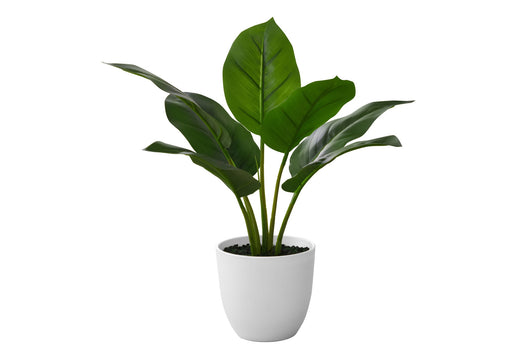 17" Tall, Artificial Plant, Aureum, Indoor, Faux, Fake, Table, Greenery, Potted, Real Touch, Decorative - Green / White - R&R Furniture Gallery (Fountain Valley, CA)