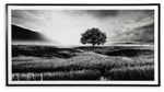 Deborland - Wall Art - Black / White - R&R Furniture Gallery (Fountain Valley, CA)