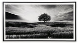 Deborland - Wall Art - Black / White - R&R Furniture Gallery (Fountain Valley, CA)