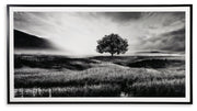 Deborland - Wall Art - Black / White - R&R Furniture Gallery (Fountain Valley, CA)