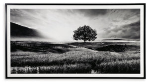 Deborland - Wall Art - Black / White - R&R Furniture Gallery (Fountain Valley, CA)