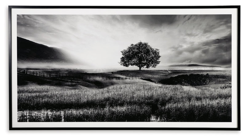 Deborland - Wall Art - Black / White - R&R Furniture Gallery (Fountain Valley, CA)