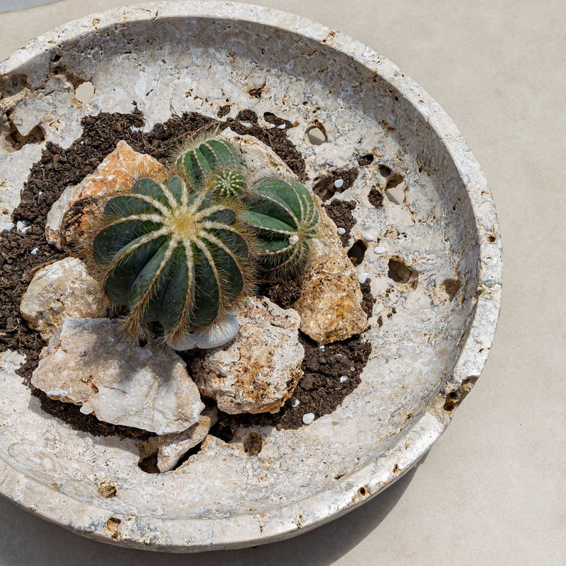 Quarried Stone - Indoor-Outdoor Bowl - Brown