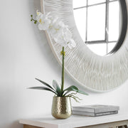 White orchid plant in a brass pot, displayed in a stylish planter by Uttermost, showcasing elegant floral decor.