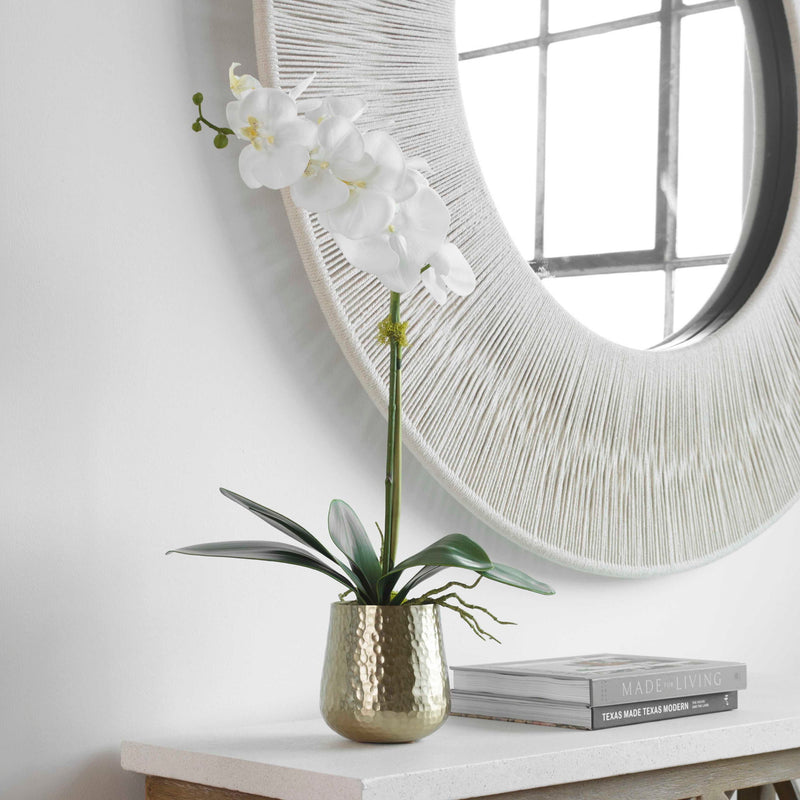 White orchid plant in a brass pot, displayed in a stylish planter by Uttermost, showcasing elegant floral decor.