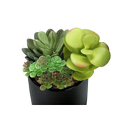 Set of two artificial succulent plants from 8th Street with realistic green leaves in decorative pots.