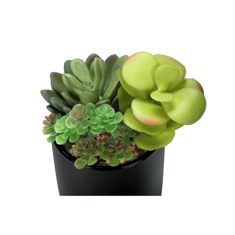 Set of two artificial succulent plants from 8th Street with realistic green leaves in decorative pots.