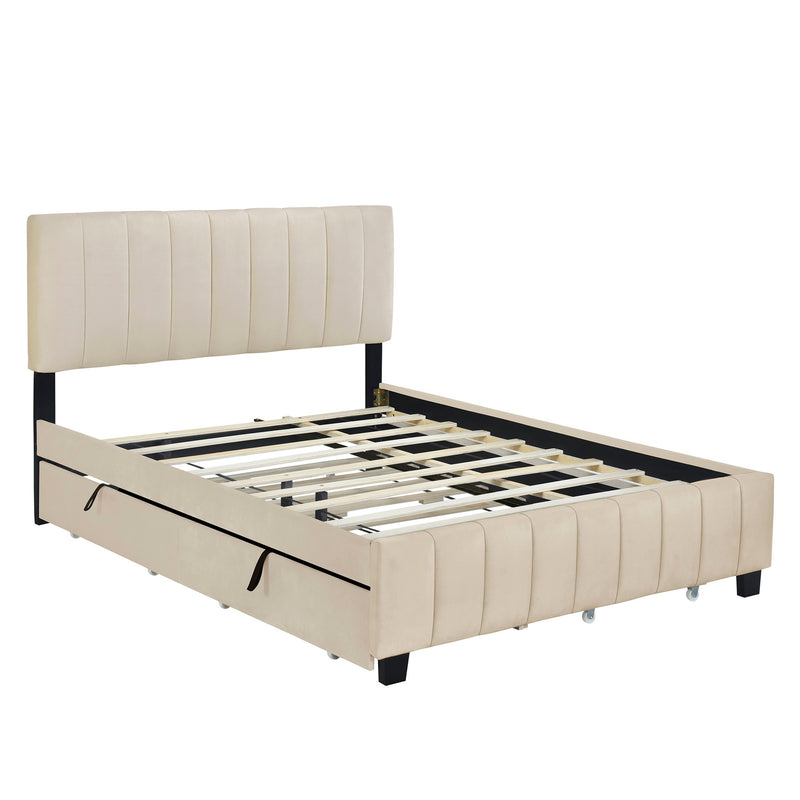 DreamHaus platform upholstered storage bed with two drawers and twin long trundle, featuring a padded headboard and modern design.