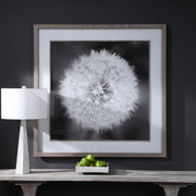 Framed print of a dandelion seedhead in black from Uttermost, showcasing delicate seed details on a neutral background.