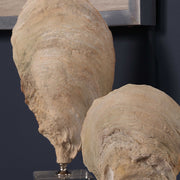 Set of two beige oyster shell sculptures by Uttermost, decorative figurines for coastal or nautical-themed decor.