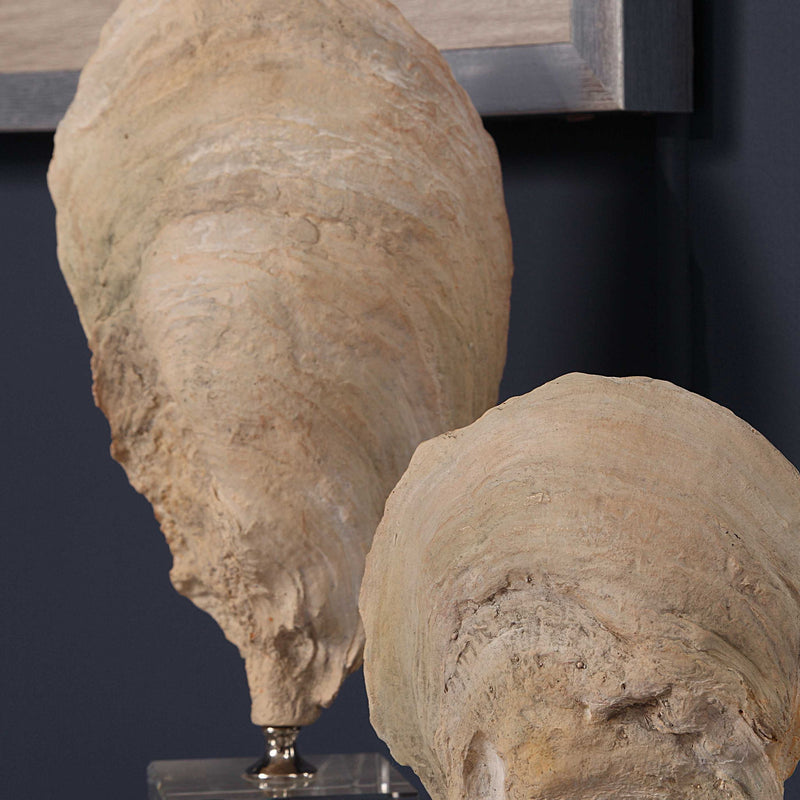 Set of two beige oyster shell sculptures by Uttermost, decorative figurines for coastal or nautical-themed decor.
