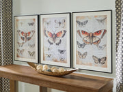 Jossletts - Wall Art Set (Set of 3) - Orange / Black / Ivory - R&R Furniture Gallery (Fountain Valley, CA)