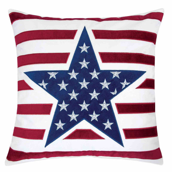 Texis - 20" X 20" Pillow (2/CTN)