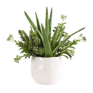 Sundown Succulent - Accent Planter - Green / White