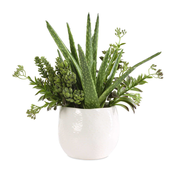 Sundown Succulent - Accent Planter - Green / White