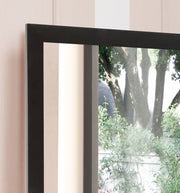 Modern Burlington wall mirror by Glory Furniture featuring a sleek transitional design with a stylish frame.