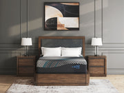 Millennium 2.0 Foam 14 Inch - Mattress - R&R Furniture Gallery (Fountain Valley, CA)