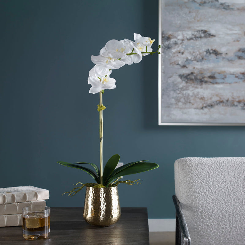 White orchid in brass pot planter, Cami Orchid by Uttermost, showcasing elegant floral arrangement in a stylish container.