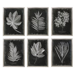 Set of six black framed foliage prints by Uttermost, featuring botanical designs in modern wall art display.