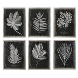 Set of six black framed foliage prints by Uttermost, featuring botanical designs in modern wall art display.