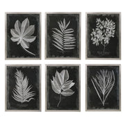 Set of six black framed foliage prints by Uttermost, featuring botanical designs in modern wall art display.