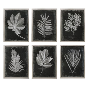 Set of six black framed foliage prints by Uttermost, featuring botanical designs in modern wall art display.
