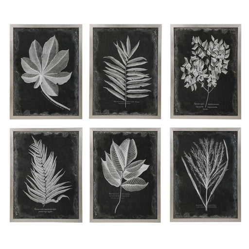 Set of six black framed foliage prints by Uttermost, featuring botanical designs in modern wall art display.