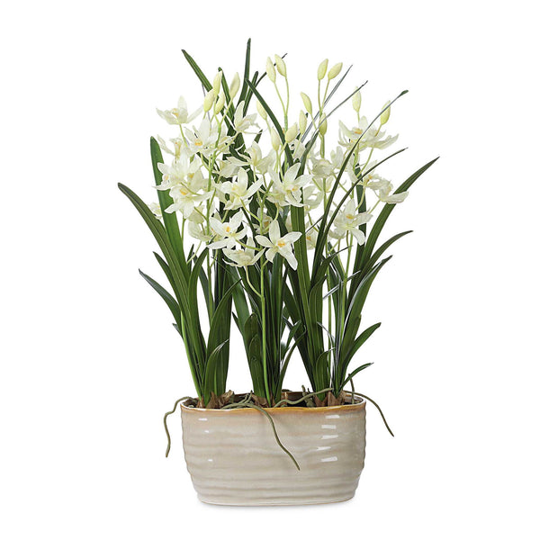 Ariana Orchid - Planter - Gray