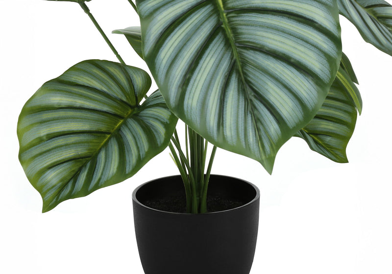 24" Tall, Artificial Plant, Calathea, Indoor, Faux, Fake, Table, Greenery, Potted, Real Touch, Decorative - Green / Black - R&R Furniture Gallery (Fountain Valley, CA)