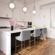 Lisa - Velvet Counter Stool - R&R Furniture Gallery (Fountain Valley, CA)