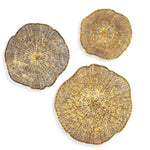 Radiance - Metal Wall Decor (Set of 3) - Gold