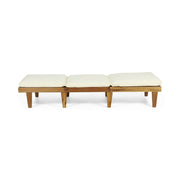 Noble House Ariana wood chaise lounge with plush cushion, modern design perfect for relaxing indoors or outdoors.