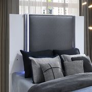 Moon - Bed & LED Accent Lighting - R&R Furniture Gallery (Fountain Valley, CA)