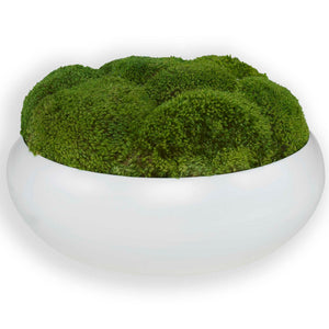 Gratia - Moss Centerpiece - Green / White