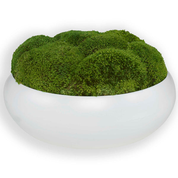 Gratia - Moss Centerpiece - Green / White