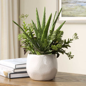 Sundown Succulent - Accent Planter - Green / White
