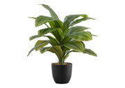 17" Tall, Artificial Plant, Dracaena, Indoor, Faux, Fake, Table, Greenery, Potted, Real Touch, Decorative - Green / Black - R&R Furniture Gallery (Fountain Valley, CA)