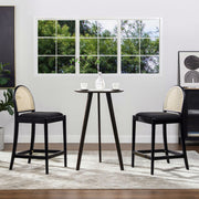 Panama - Curved Back Cane Counter Stool (Set of 2) - R&R Furniture Gallery (Fountain Valley, CA)