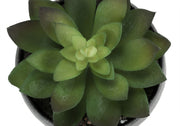 Set of 3 artificial succulent plants from 8th Street, featuring realistic green succulents in decorative pots.