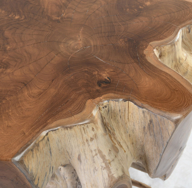 Groot - Table - R&R Furniture Gallery (Fountain Valley, CA)
